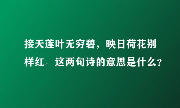 接天莲叶无穷碧，映日荷花别样红。这两句诗的意思是什么？