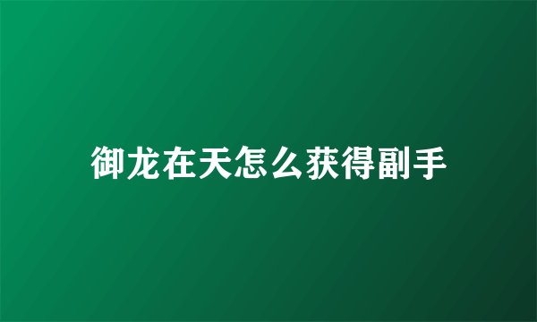 御龙在天怎么获得副手
