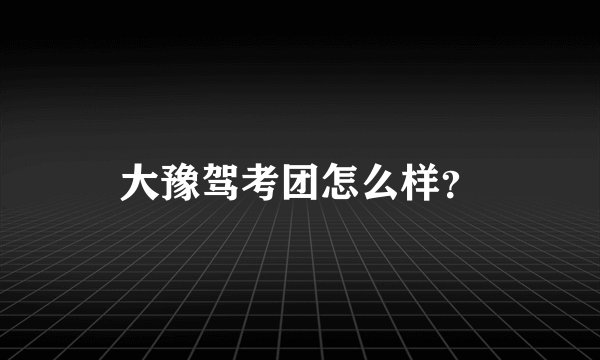 大豫驾考团怎么样？
