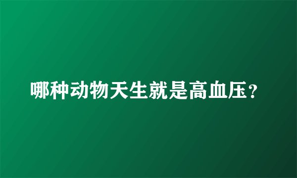 哪种动物天生就是高血压？