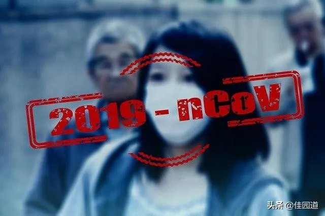 每天的疑似病例比较少,为什么确诊的病例那么多?