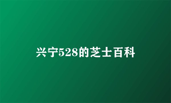 兴宁528的芝士百科