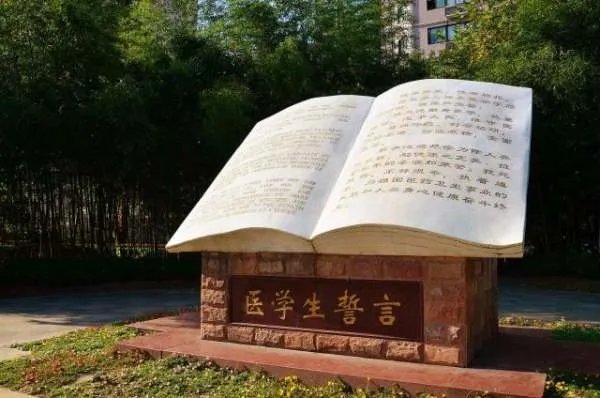 中国“最难考”的医学院，可分哪几个档次？