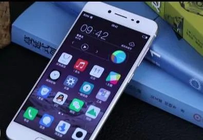 vivo手机Y67支持,闪充功能?