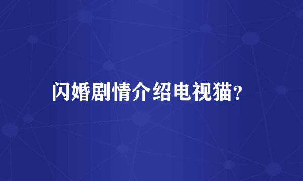 闪婚剧情介绍电视猫？