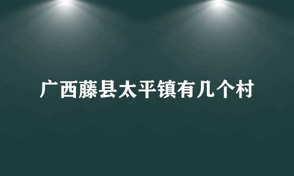 广西藤县太平镇有几个村