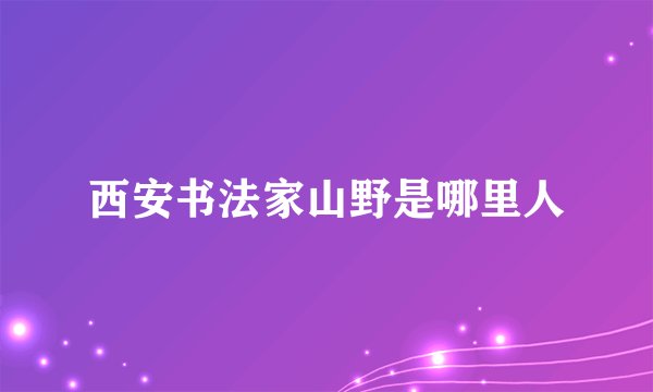 西安书法家山野是哪里人