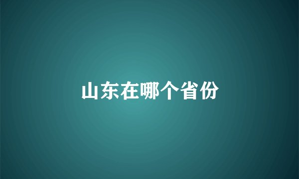 山东在哪个省份