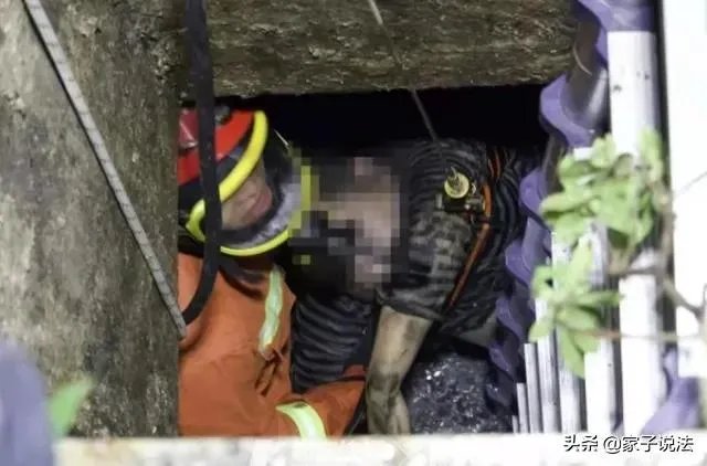 浙江女子喊老公下污水井救宠物狗致其身亡,年仅30岁,怎么看?