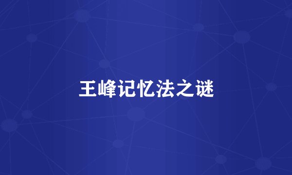 王峰记忆法之谜