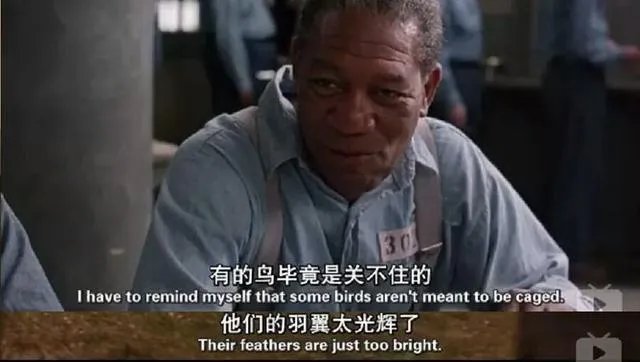 乳神高分电影欧美