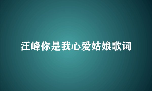 汪峰你是我心爱姑娘歌词