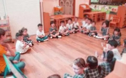 《留住小鸟》幼儿园教案