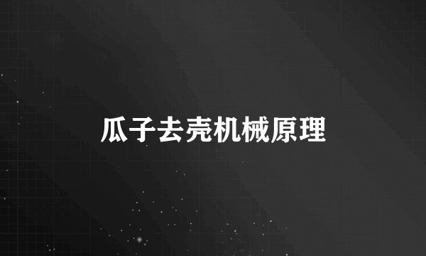 瓜子去壳机械原理