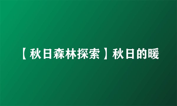【秋日森林探索】秋日的暖