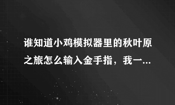 谁知道小鸡模拟器里的秋叶原之旅怎么输入金手指，我一点输入金手指就返回了，谁能告诉我，我真心感谢他？