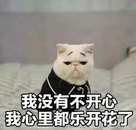 有一个稀有的姓是什么体验?
