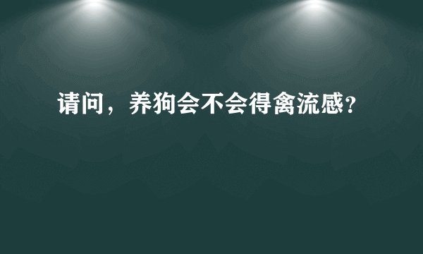 请问，养狗会不会得禽流感？