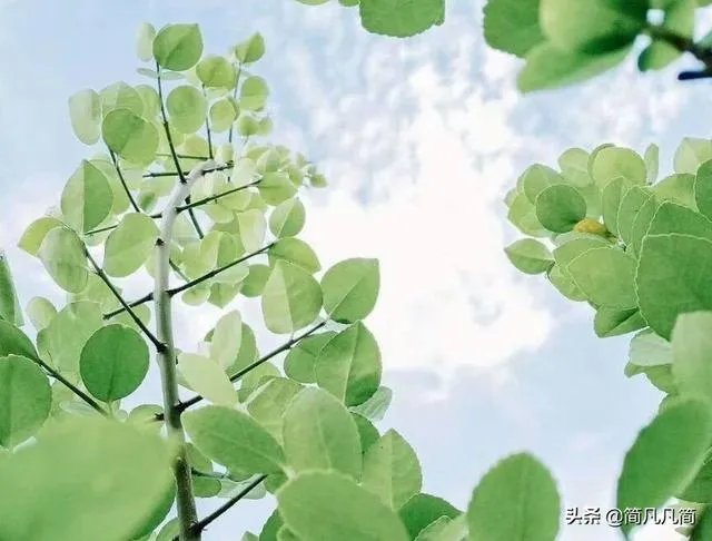 杭州象山女童以死亡为代价,让人心痛,那么,当今社会,我们对陌生人还能相信多少?