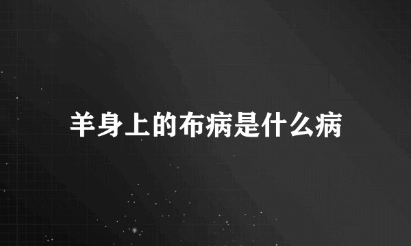 羊身上的布病是什么病