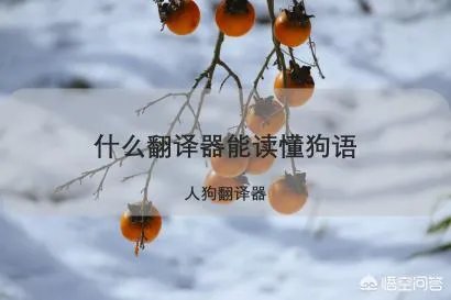 可以翻译狗狗叫声的软件