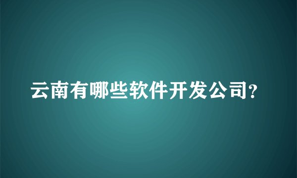 云南有哪些软件开发公司？