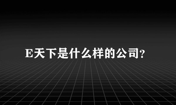 E天下是什么样的公司？