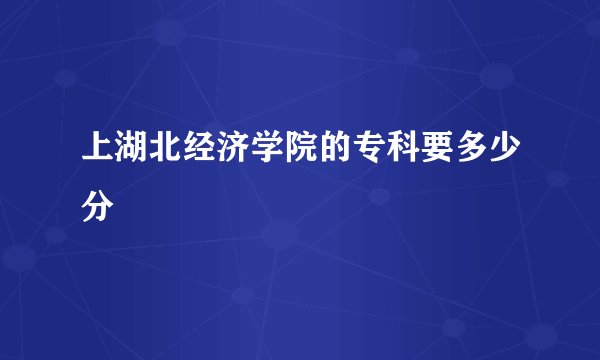 上湖北经济学院的专科要多少分