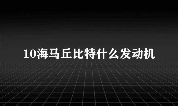 10海马丘比特什么发动机