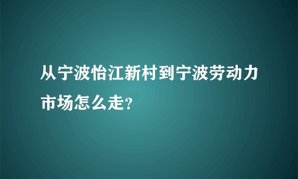 从宁波怡江新村到宁波劳动力市场怎么走？