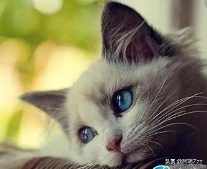 忧愁是什么仿写句子？