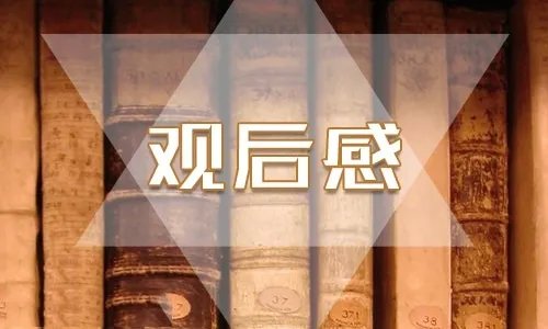 最新青年大学习第十季第三期观后感5篇2020