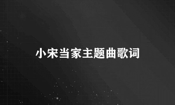 小宋当家主题曲歌词