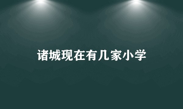 诸城现在有几家小学