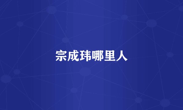 宗成玮哪里人