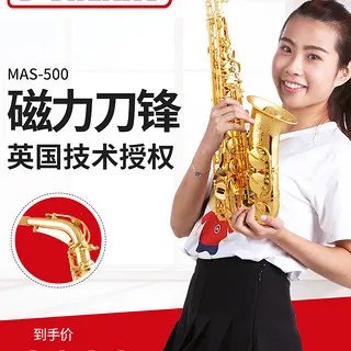 萨克斯多少钱一把