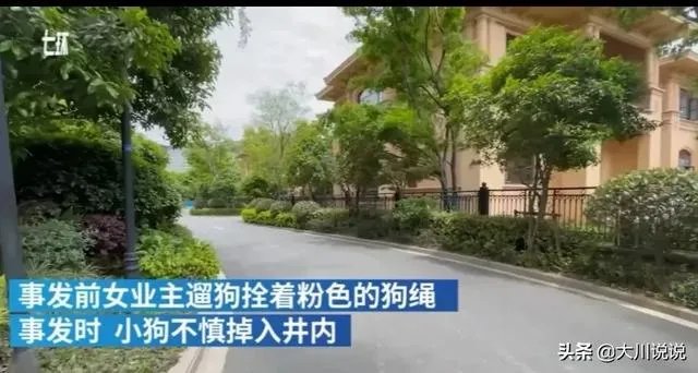 浙江女子喊老公下污水井救宠物狗致其身亡,年仅30岁,怎么看?