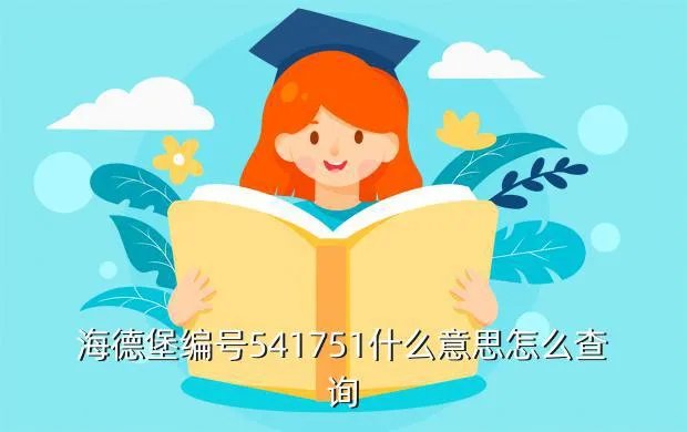海德堡中国有限公司,海德堡的中国人多吗