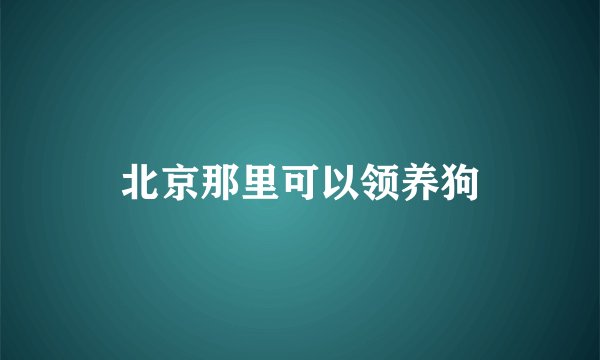 北京那里可以领养狗