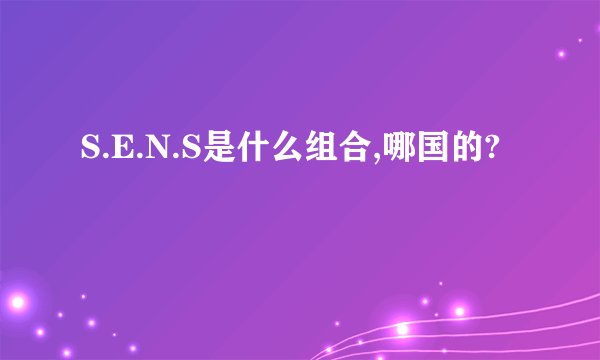 S.E.N.S是什么组合,哪国的?
