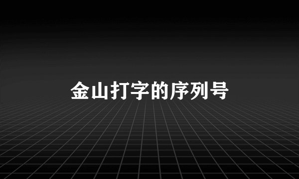 金山打字的序列号