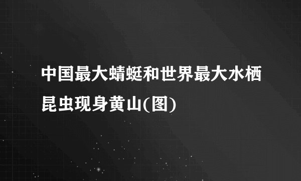 中国最大蜻蜓和世界最大水栖昆虫现身黄山(图)