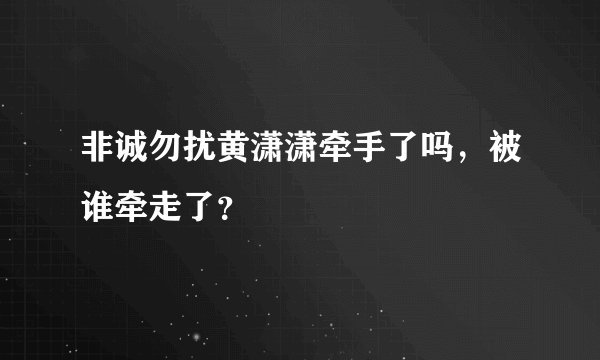非诚勿扰黄潇潇牵手了吗，被谁牵走了？