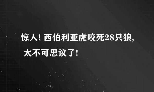 惊人! 西伯利亚虎咬死28只狼, 太不可思议了!