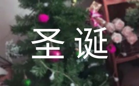 寂寞的圣诞节伤感散文