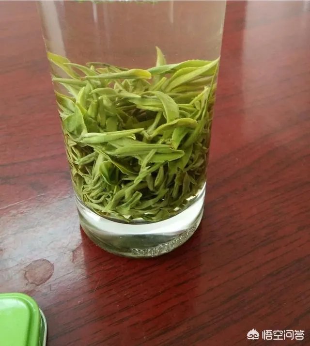 孕妇能经常喝毛尖茶吗?