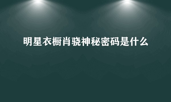 明星衣橱肖骁神秘密码是什么