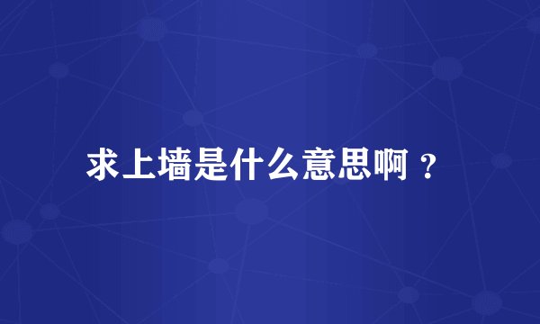 求上墙是什么意思啊 ？