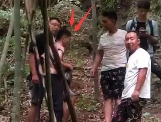 章子怡发文斥代拍,明星代拍真的很过分吗?