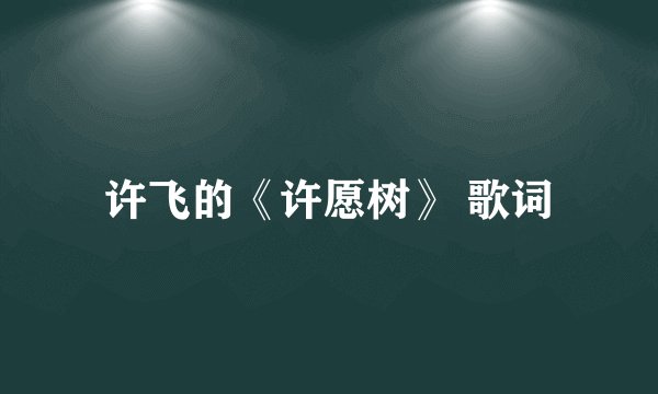 许飞的《许愿树》 歌词